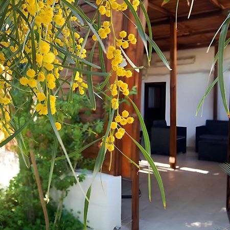 Sea Breeze Villa - Sole Apartment Bari Eksteriør billede